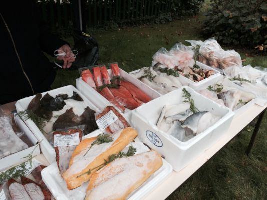 Gourmet Fish Stall